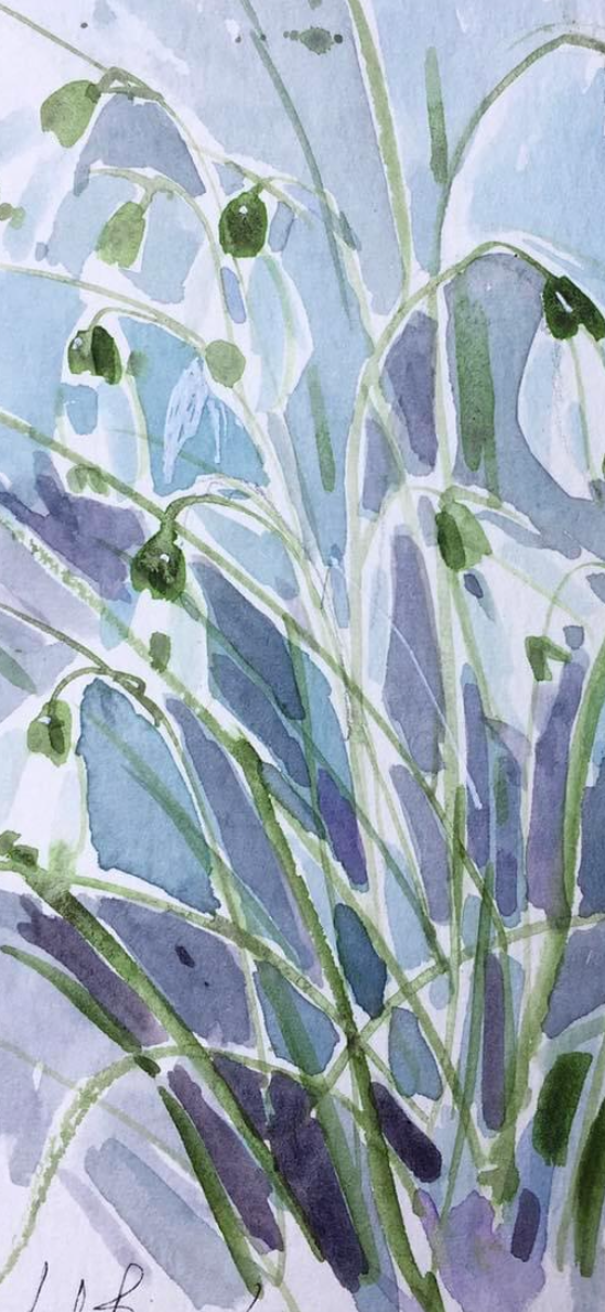 GARSTANG:- Total Beginners Course Watercolour, acrylic, brusho, 3 week course (fortnightly) Fri 27th Feb and other dates