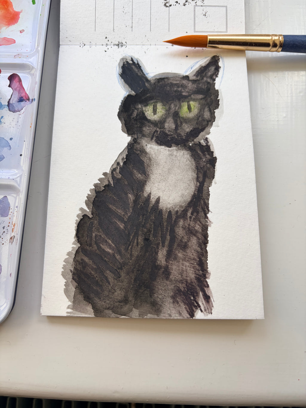 Alfie the Cat