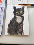 Alfie the Cat