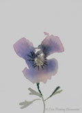 Total Beginners Flower Watercolour Course